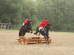 IMG_1492_web